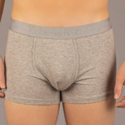 Grant Trunk model in Solid Heather Grey by Fahrenheit