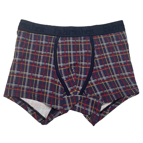 Grant Trunk/ Blue Plaid