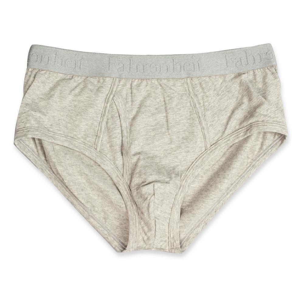 Wayne Malibu Sport Brief - Underwear Expert