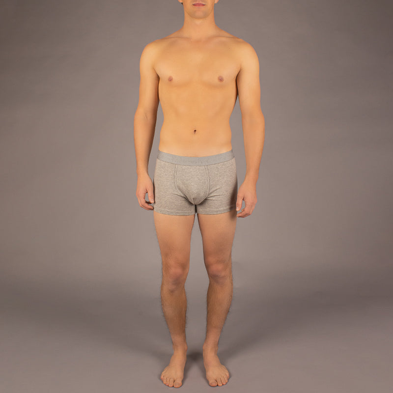 Grant Trunk model in Solid Heather Grey by Fahrenheit