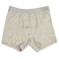 Newman Boxer Brief front in Solid Heather Grey by Fahrenheit