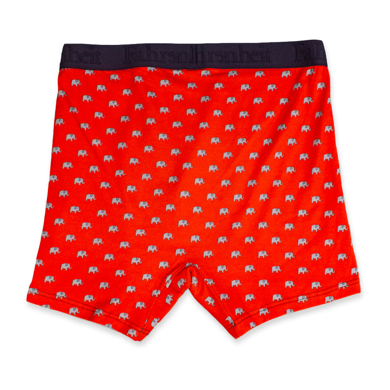 Newman Boxer Brief back in Election Elephant by Fahrenheit