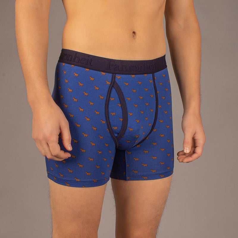 Newman Boxer Brief model in Election Donkey by Fahrenheit