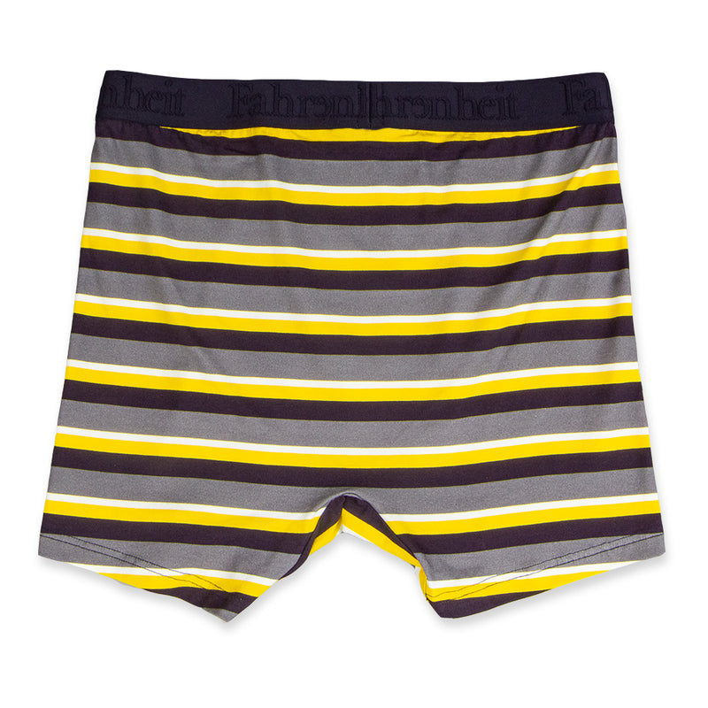 Newman Boxer Brief back in Stripe Yellow/Grey by Fahrenheit