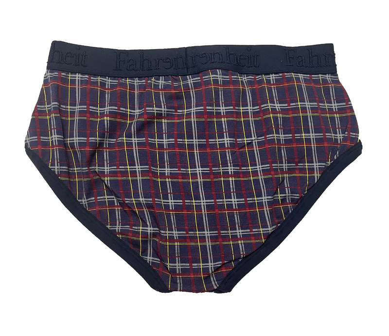 Wayne Brief/ Blue Plaid