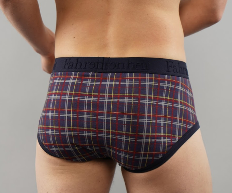 Wayne Brief/ Blue Plaid
