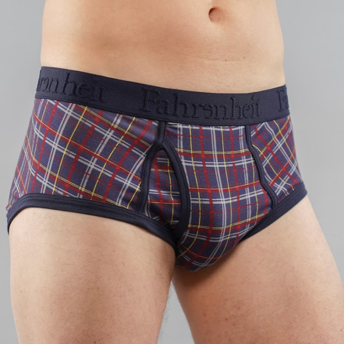Wayne Brief/ Blue Plaid