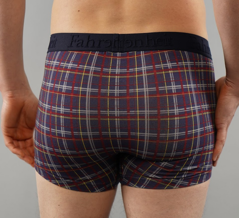 Grant Trunk/ Blue Plaid