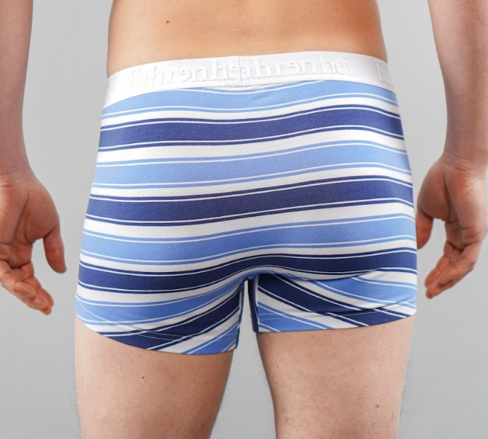 Grant Trunk | Blue & White Stripe