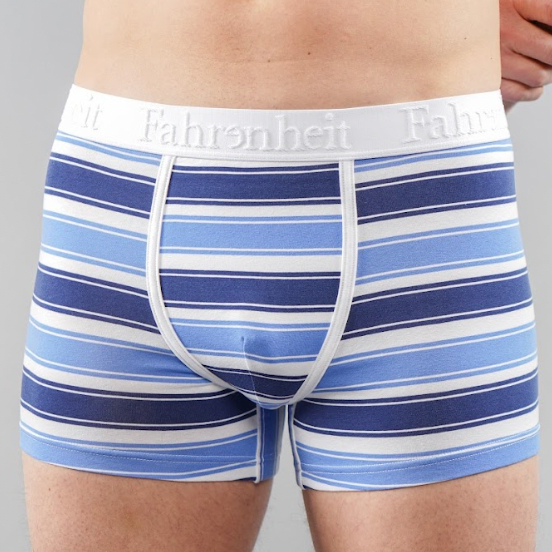 Grant Trunk | Blue & White Stripe
