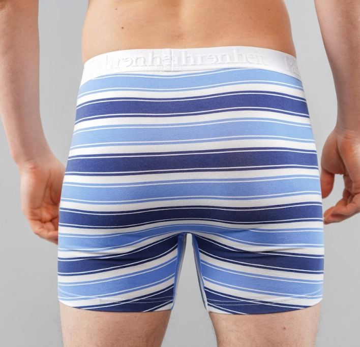 Newman Boxer Brief | Blue & White Stripe