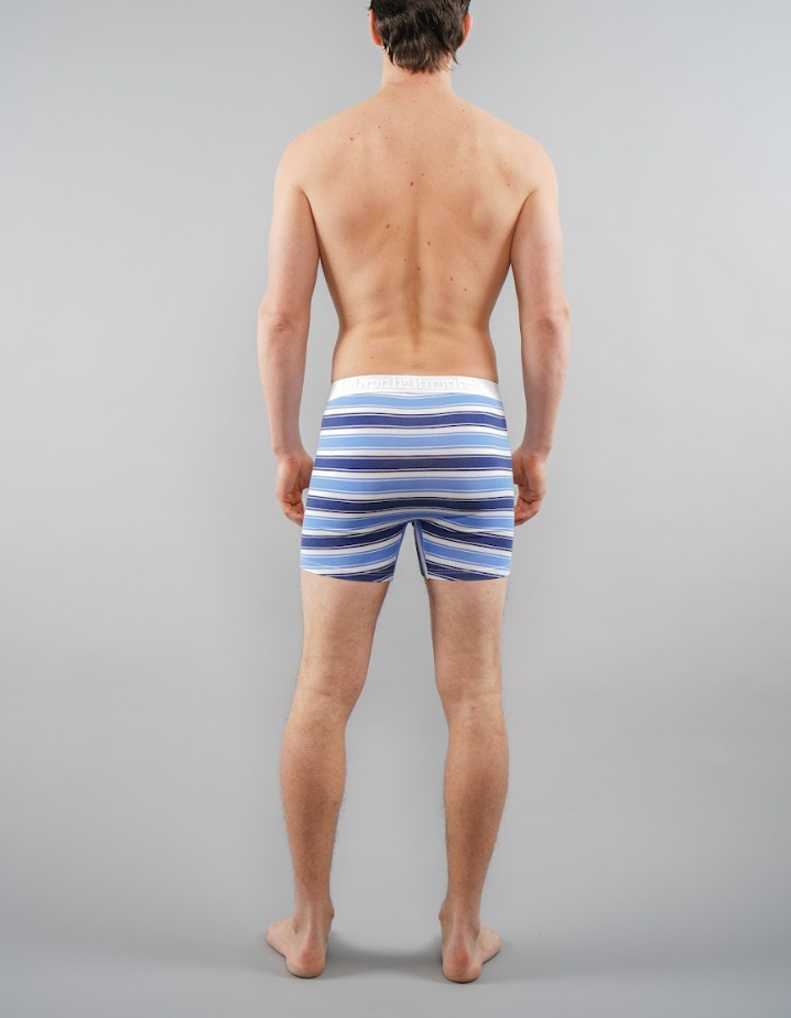 Newman Boxer Brief | Blue & White Stripe
