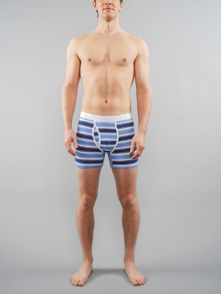Newman Boxer Brief | Blue & White Stripe