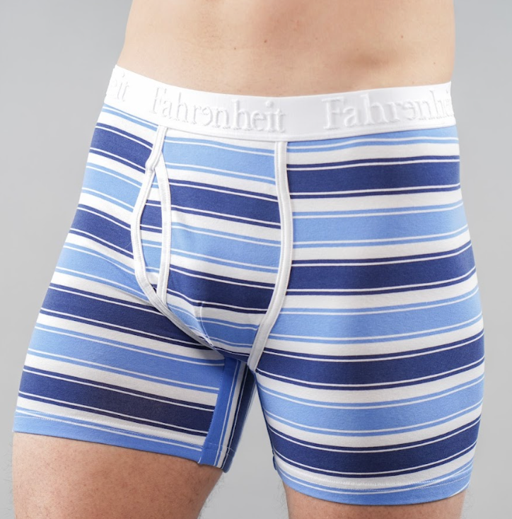 Newman Boxer Brief | Blue & White Stripe
