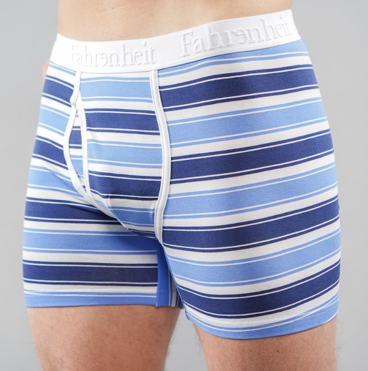 Newman Boxer Brief | Blue & White Stripe